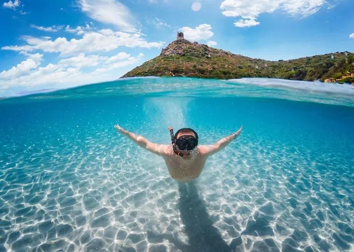 Apartment Alba - Glimpse Of The Sea Sea Nearby Ajaccio (Corsica)